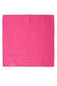 Load image into Gallery viewer, Mini Raspberry