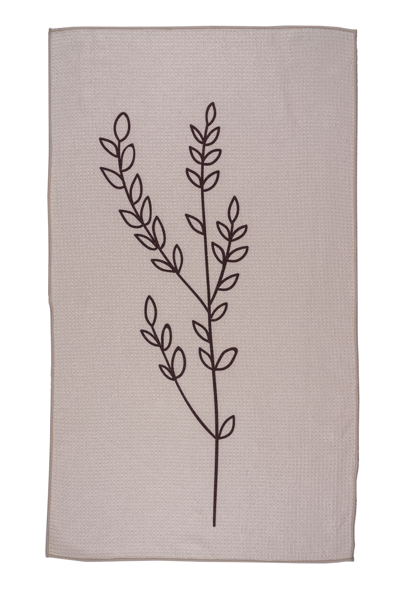 Olive Branch