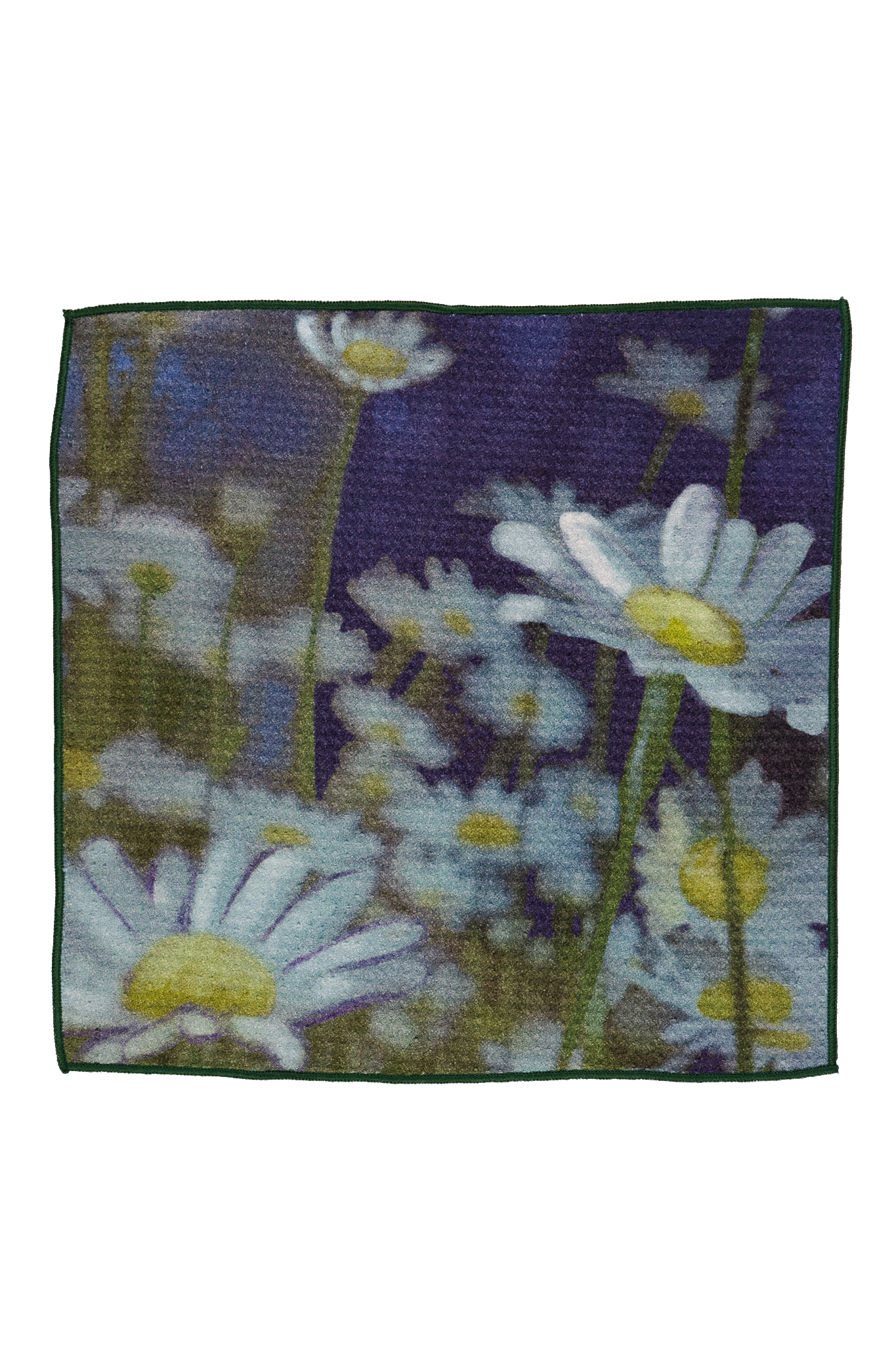 Mini Field of Daisies