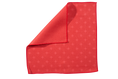 Load image into Gallery viewer, Mini Strawberry
