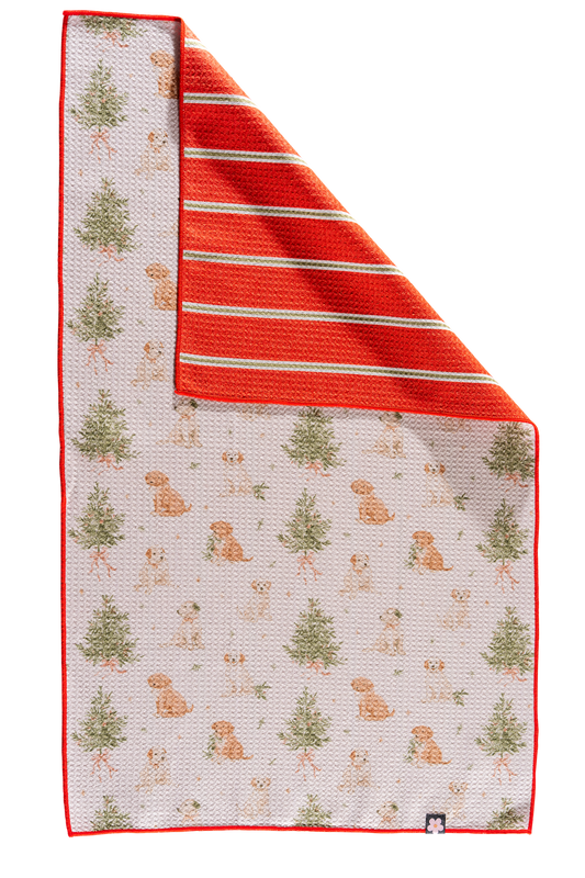 Pine and Paws