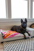 Load image into Gallery viewer, Pup-sicle
